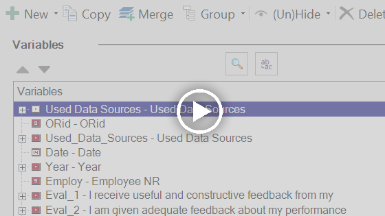Data Editor Video